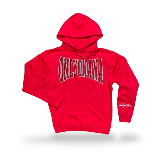 Only Ohana Metro City Hoodie - Chicago