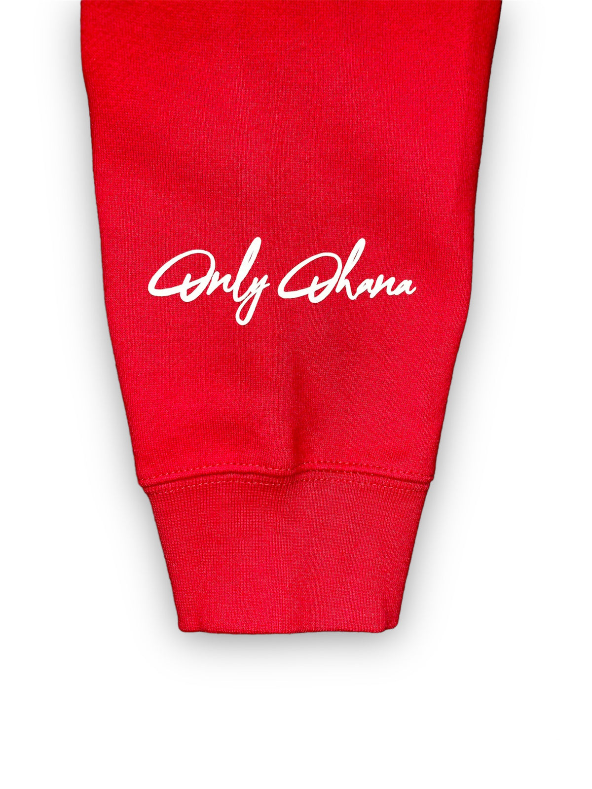 Only Ohana Metro City Hoodie - Chicago